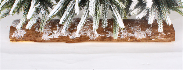 Small Christmas Tree for Christmas snow.jpg Small Christmas Tree for Christmas snow.jpg